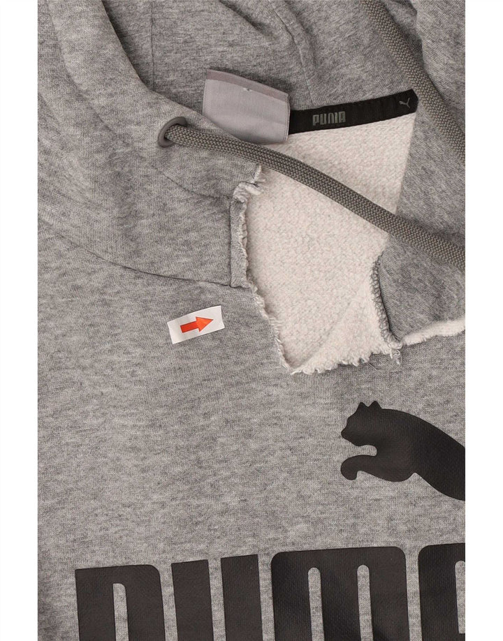 Puma Pull à Capuche Graphique Homme Gris Moyen Moucheté Coton