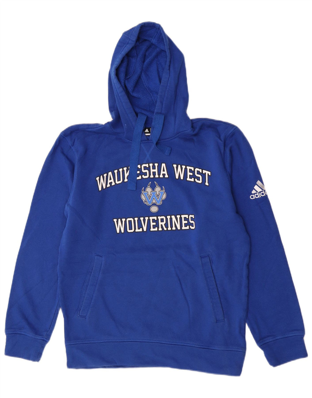 Adidas Pull à capuche graphique Wolverines Graphic pour homme, petit, bleu
