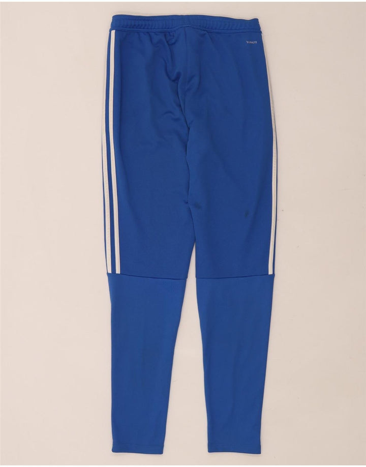 ADIDAS Pantalon de survêtement Climalite pour femme UK 10 Small Bleu Polyester