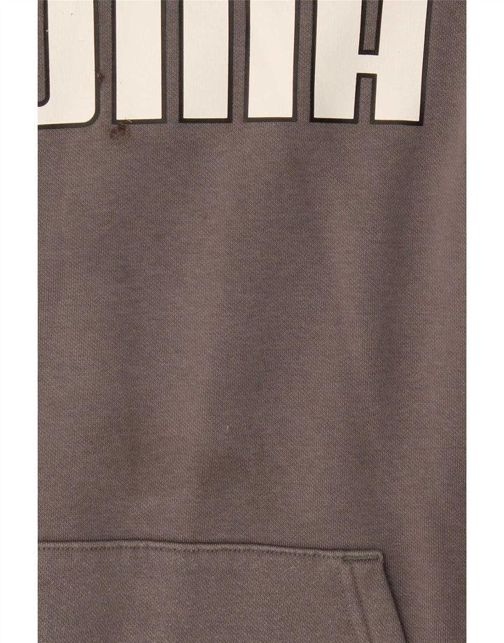 Puma Pull à Capuche Graphique Homme Gris Moyen Coton