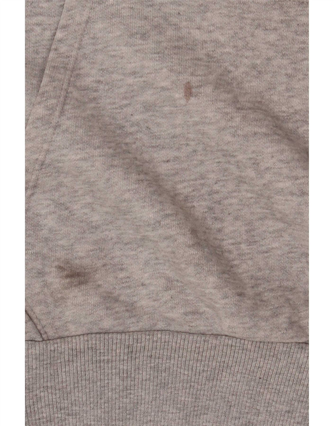 Puma Pull à capuche graphique homme petit gris coton