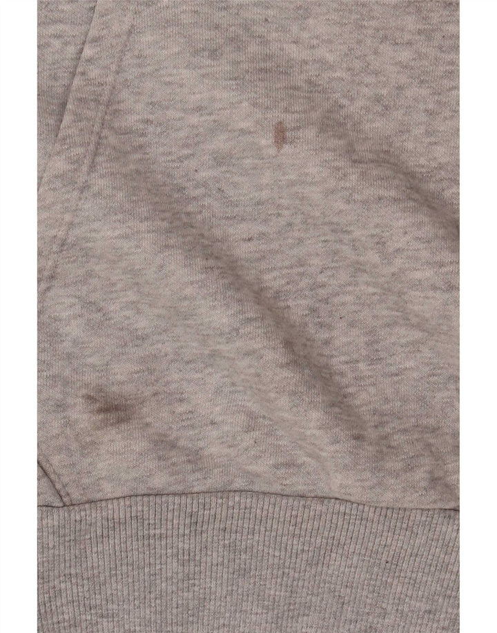 Puma Pull à capuche graphique homme petit gris coton