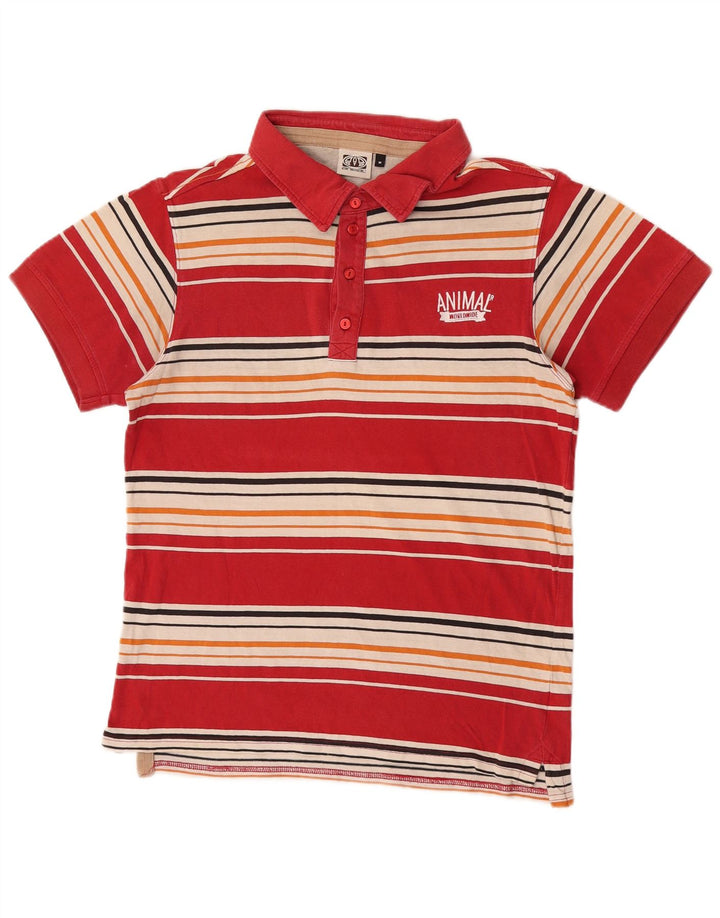 Polo Homme Animal Coton Rayé Rouge Moyen