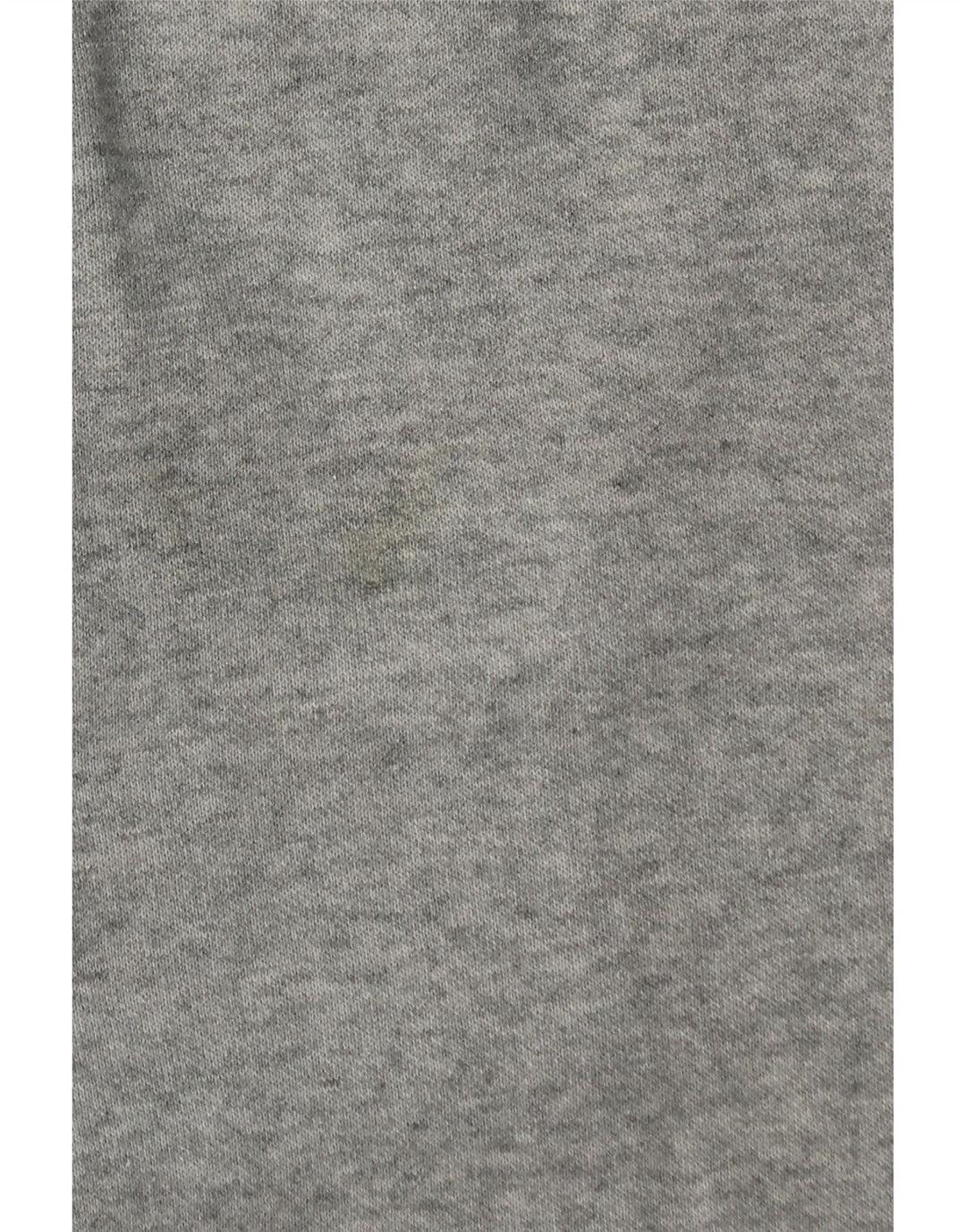 Champion Pantalon de survêtement graphique pour homme, petit, gris moucheté