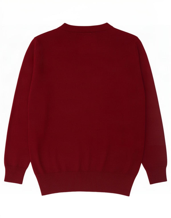 Abercrombie & Fitch Pull musclé à col en V pour homme Taille L en coton bordeaux