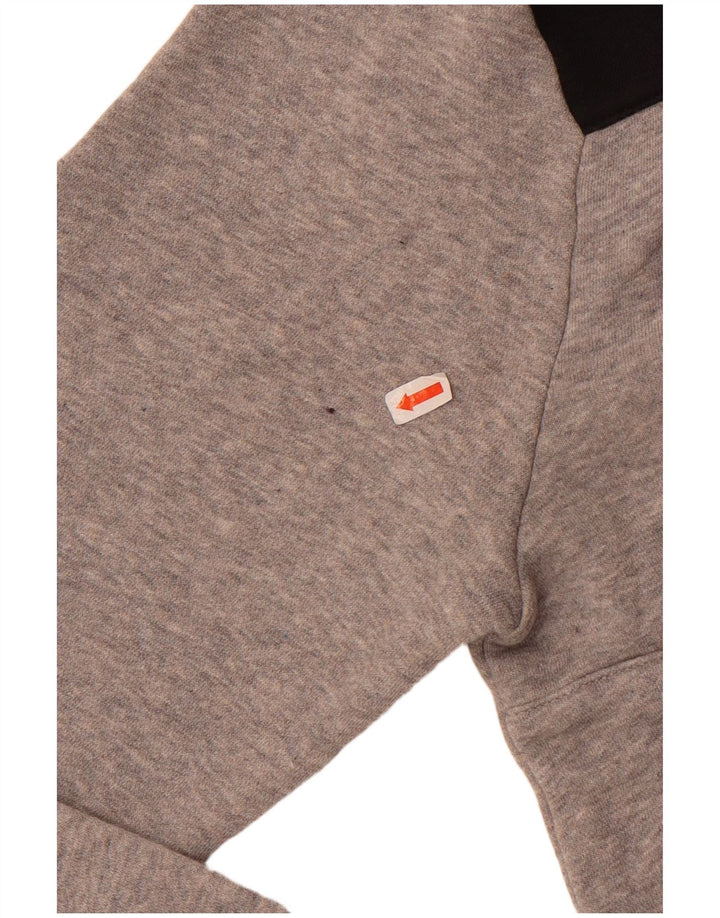 Reebok Sweatshirt Classic Graphic Sweatshirt Homme Gris Moyen Colourblock