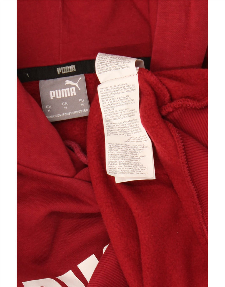 PUMA Pull à capuche graphique pour homme en coton marron moyen