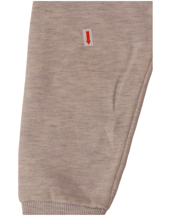 Superdry Pull à capuche graphique pour femme UK 12 Gris moyen Coton