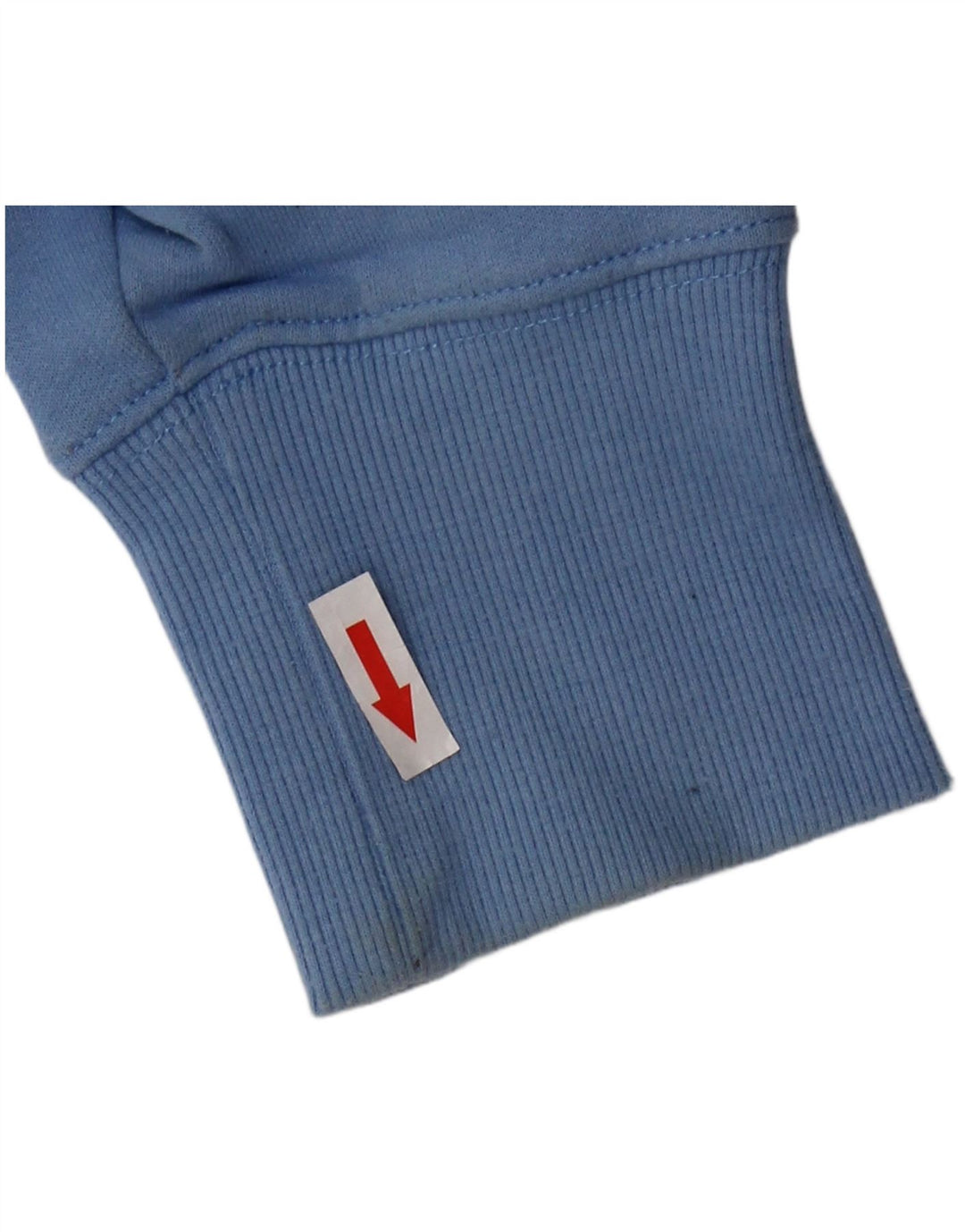 Champion Pull à Capuche Graphique Homme Bleu Moyen