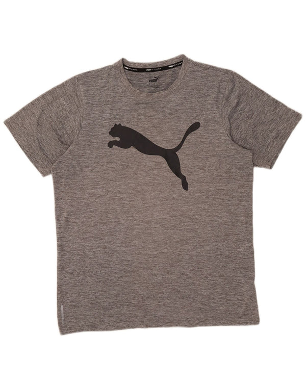 Puma Tee-Shirt Graphic Homme Gris Moyen