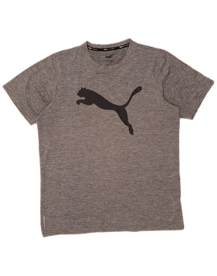 Puma Tee-Shirt Graphic Homme Gris Moyen