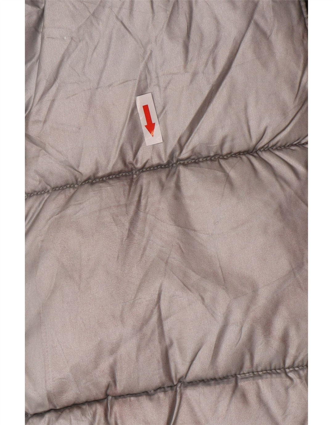 Astrolabio Gilet Rembourré IT 48 Moyen Argent Polyamide Homme