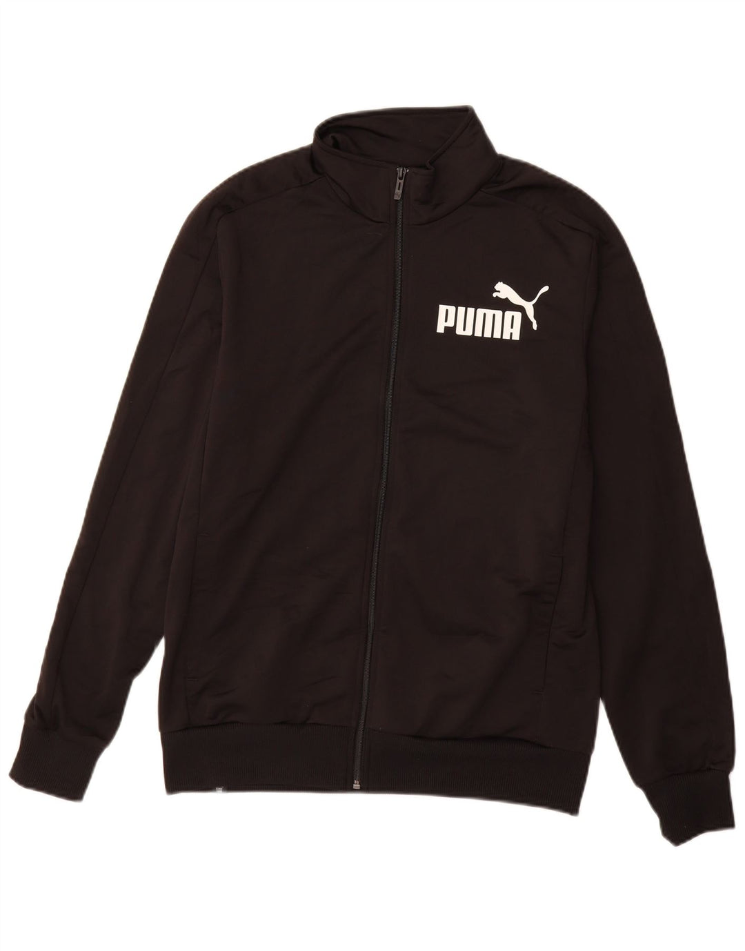 PUMA Veste de Survêtement Graphique Homme Noir Moyen Polyester