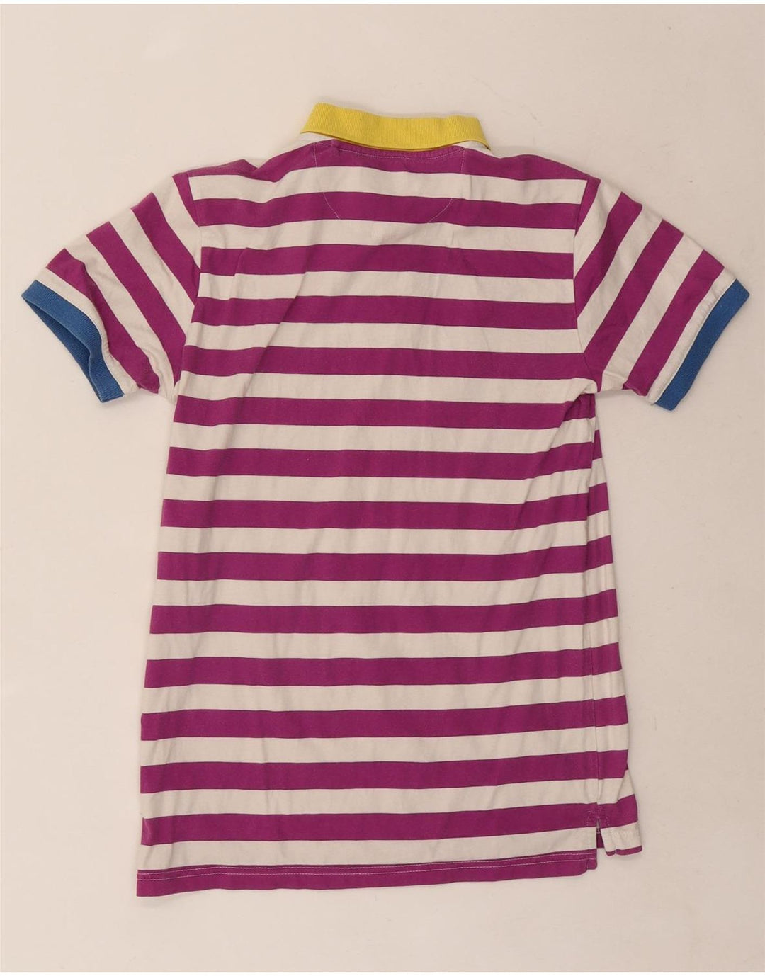 Invicta Polo Homme Petit Rayé Violet