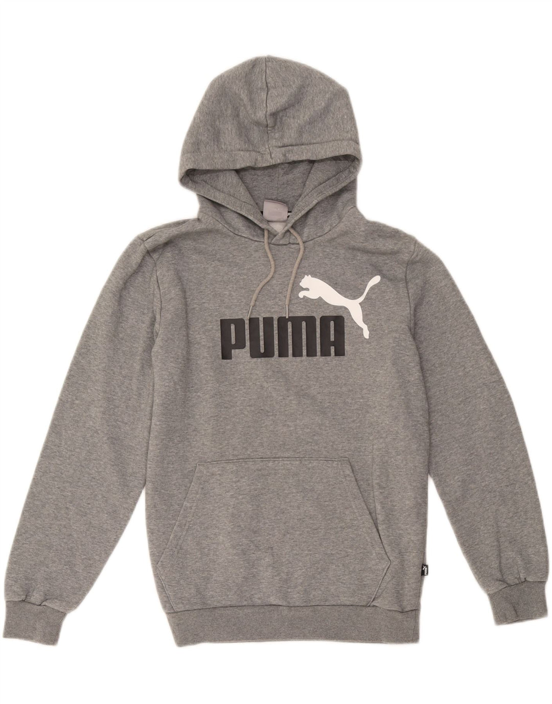 Puma Pull à capuche graphique homme petit gris coton