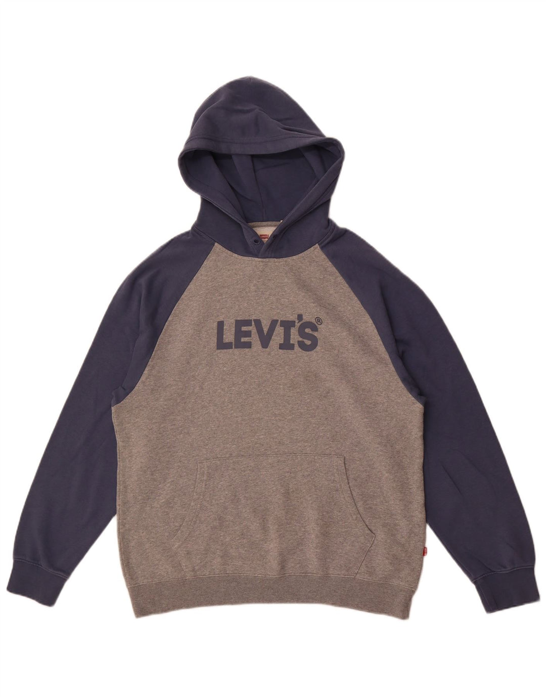 Levi's Pull à Capuche Graphic Relaxed Fit Homme Gris Moyen Colorblock