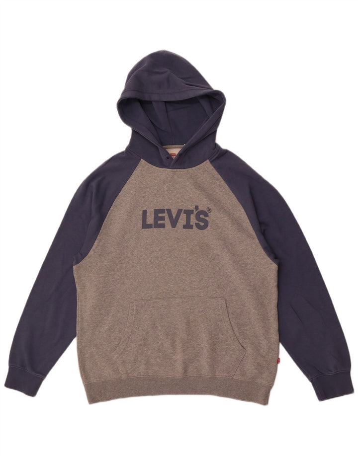 Levi's Pull à Capuche Graphic Relaxed Fit Homme Gris Moyen Colorblock