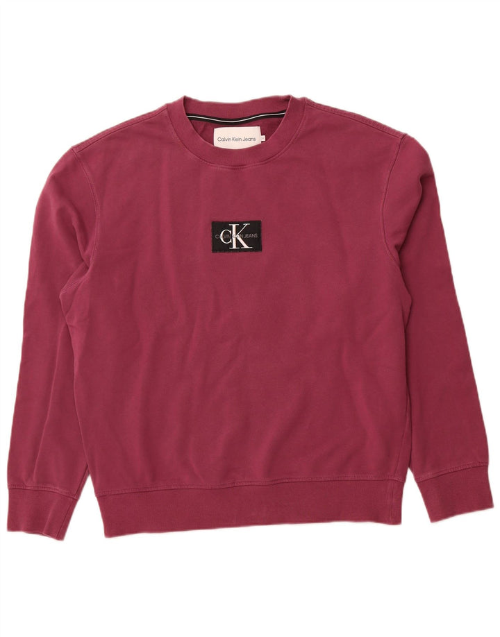 CALVIN KLEIN JEANS Pull Graphique Sweatshirt Homme Violet Moyen