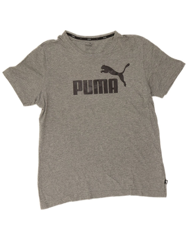 Puma T-shirt graphique pour homme, grand, gris