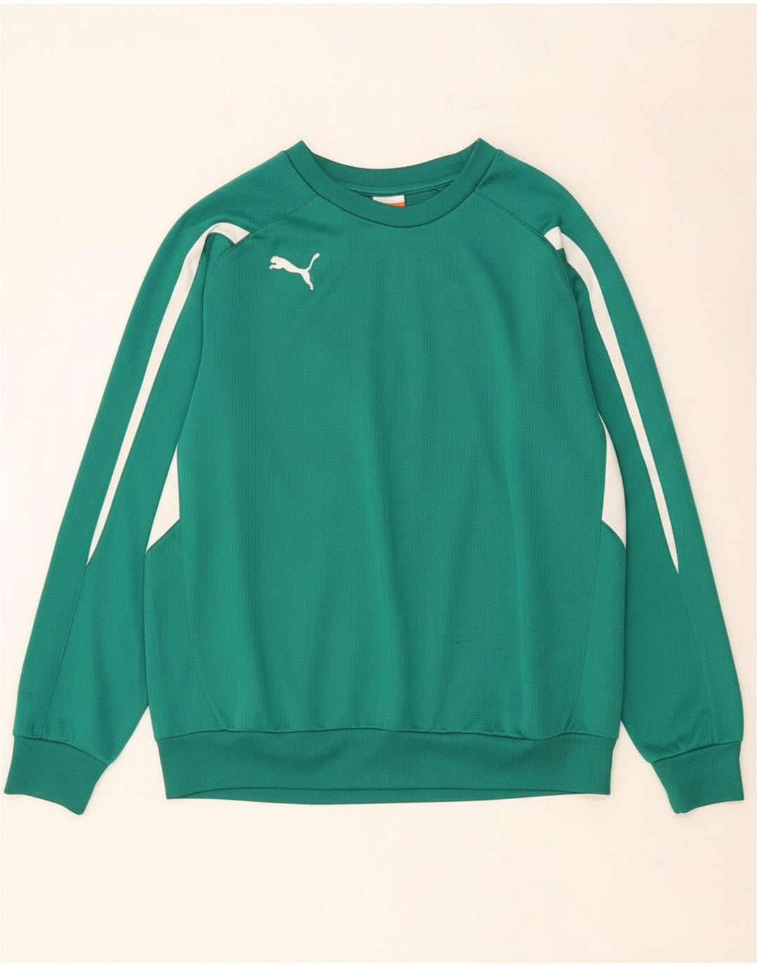 PUMA Sweat-shirt pour homme en polyester color block grand vert