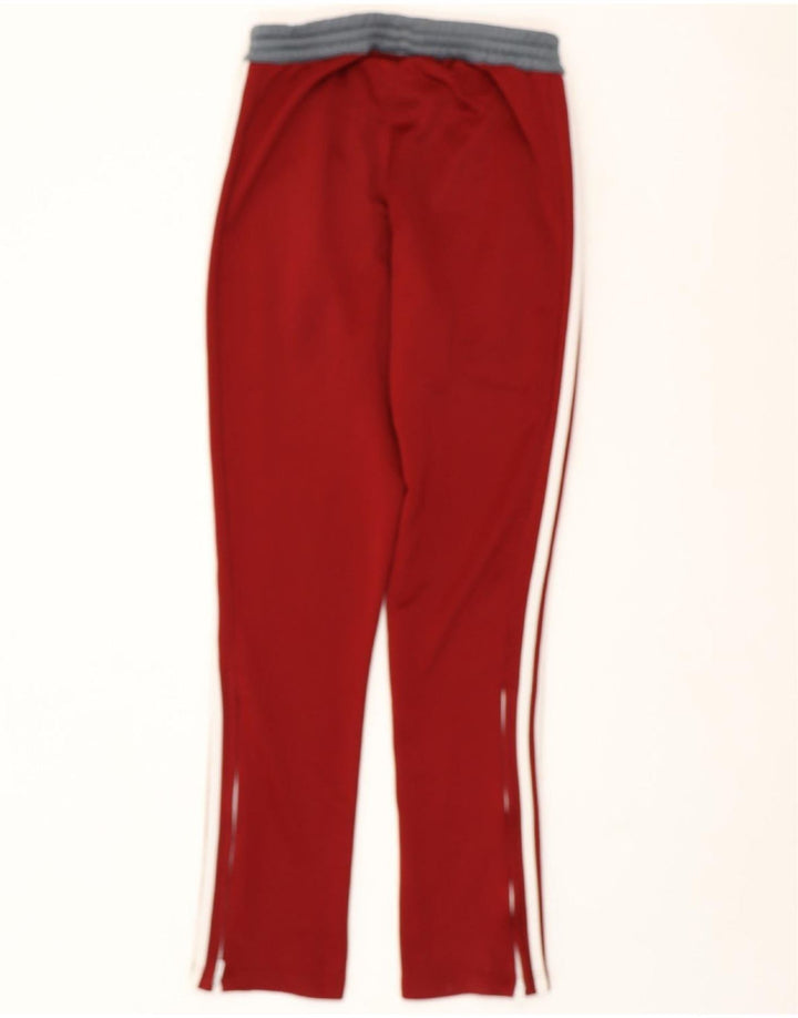 ADIDAS Pantalon de survêtement Climalite pour homme Small Bordeaux Colourblock