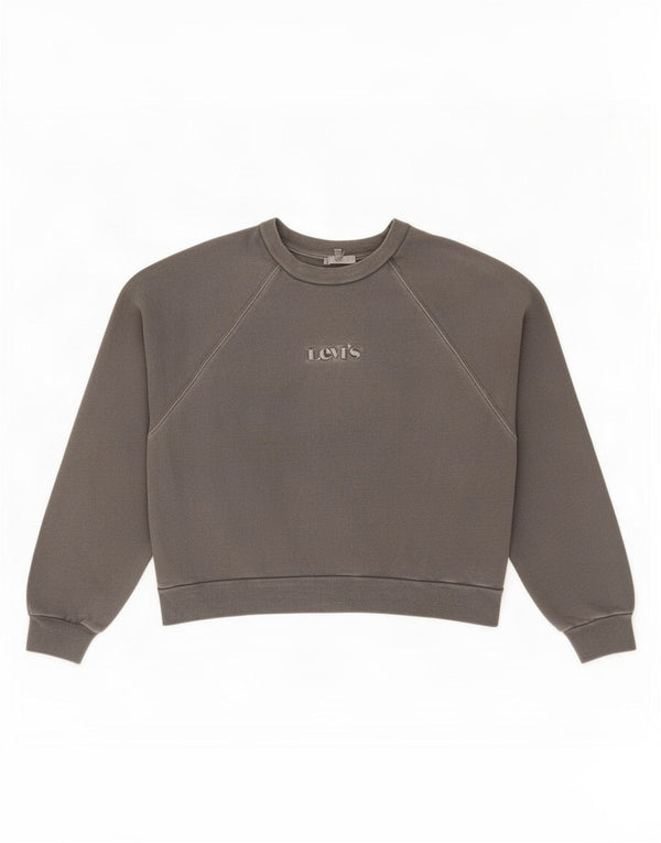 Levi's Sweat-shirt oversize Crop Graphic pour femme Gris moyen UK 44