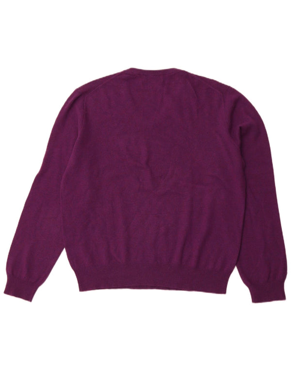 POLO RALPH LAUREN Pull Col V Homme Violet Moyen Laine Mérinos