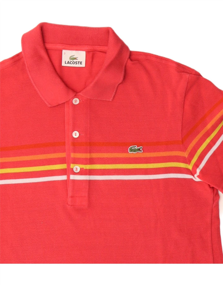 LACOSTE Polo Homme Taille 3 Petit Coton Rayé Rose