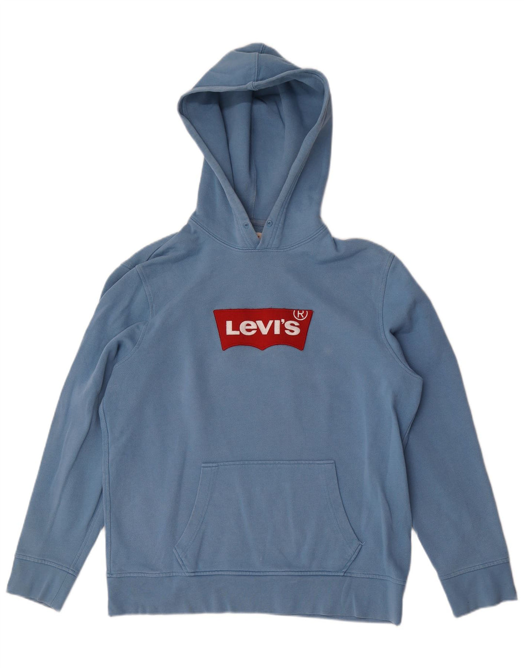 Levi's Pull à Capuche Graphique Homme Bleu Coton Large