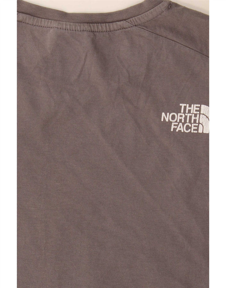 The North Face T-shirt graphique régulier pour hommes, petit, gris, colour block