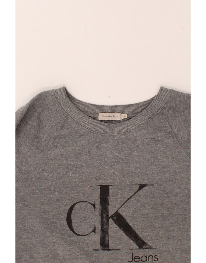 CALVIN KLEIN JEANS Womens Graphic Sweatshirt Jumper UK 14 Medium Grey Vintage Calvin Klein Jeans and Second-Hand Calvin Klein Jeans from Messina Hembry 