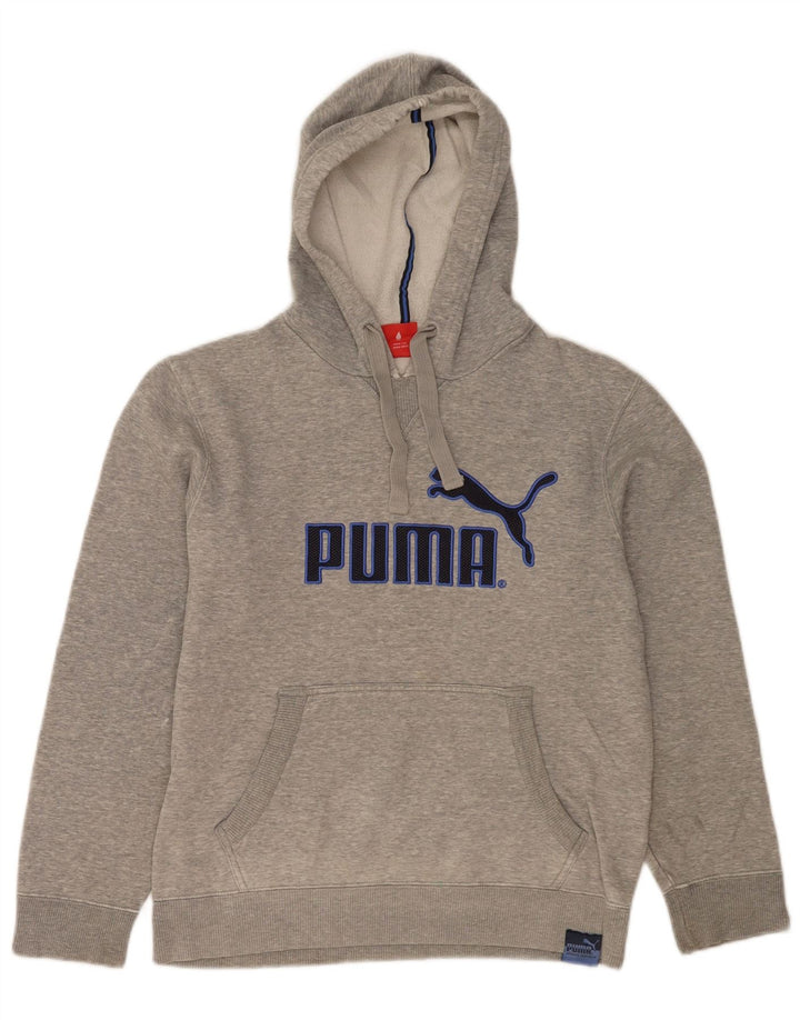 Puma Pull à Capuche Graphique Homme Petit Gris Moucheté