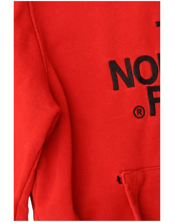 THE NORTH FACE Pull à capuche graphique pour homme Petit coton rouge
