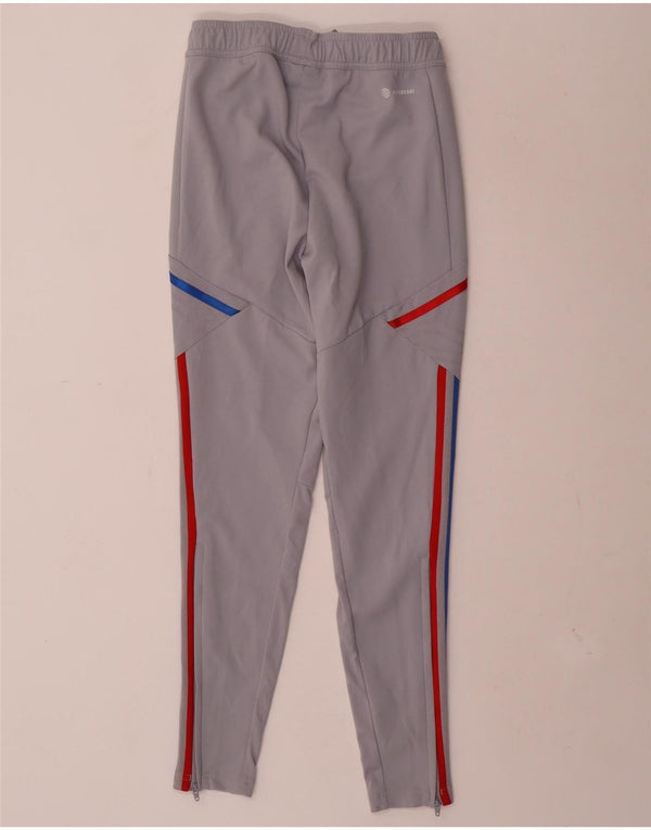 Adidas Pantalon de Survêtement Graphique Olympique Lyonnais XS Gris Homme