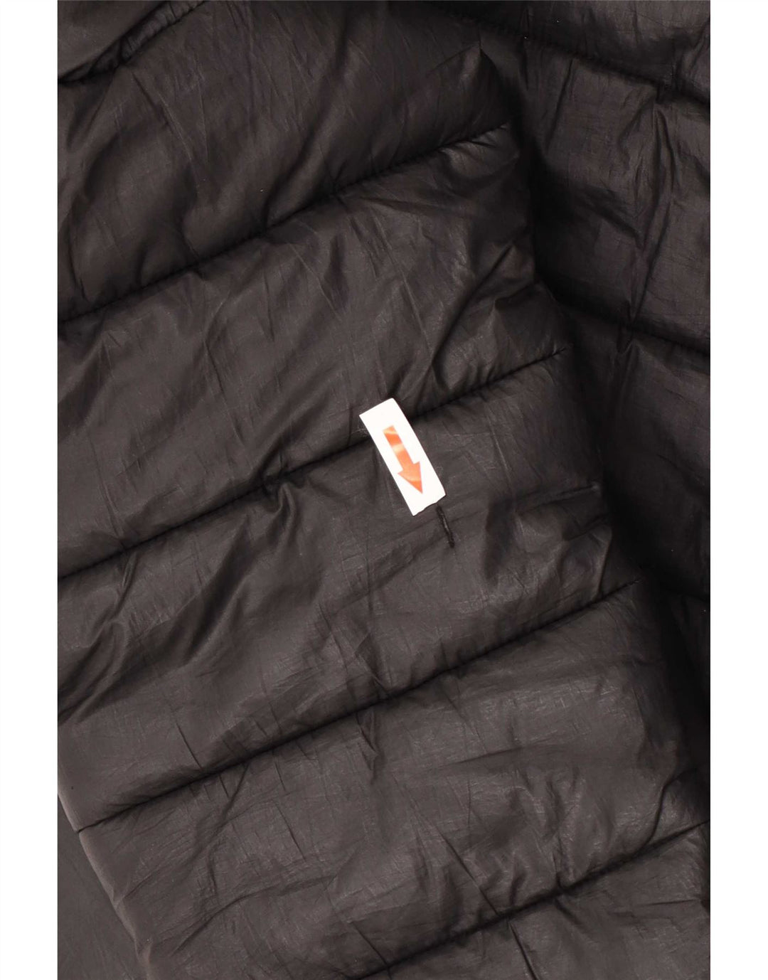 Champion Veste matelassée à capuche pour femme UK 12 Medium Noir Polyester