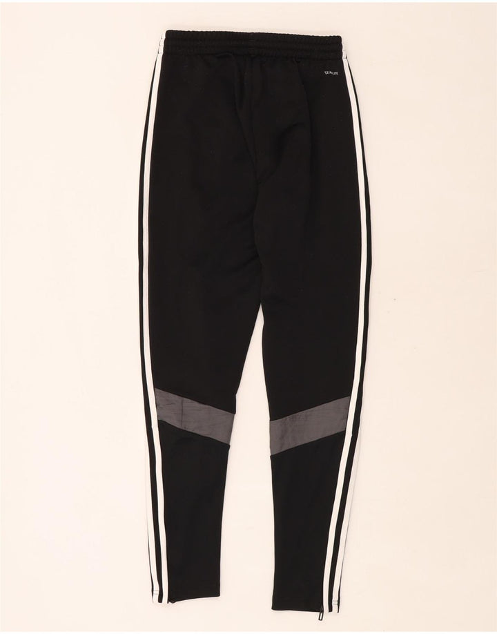 ADIDAS Pantalon de Survêtement Climalite Homme XS Noir Polyester