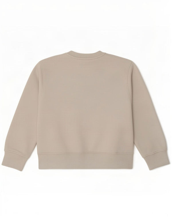 Zara Womens Crop Sweatshirt Jumper UK 10 Petit coton blanc