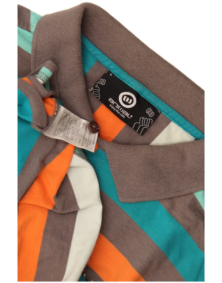Polo Homme Animal Grand Rayé Multicolore Polyester
