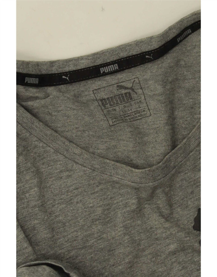 Puma T-shirt graphique pour homme, grand, gris