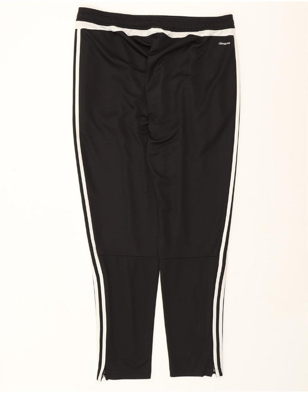 ADIDAS Pantalon de Survêtement Climacool XL Homme Noir Colorblock Polyester