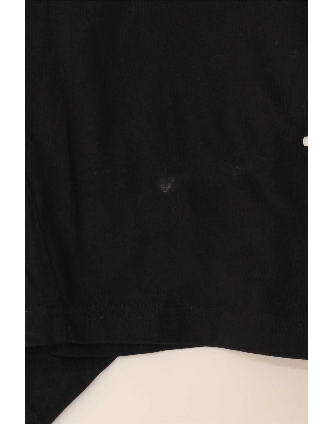 Champion Short de Sport Graphique Homme Bleu Marine Large