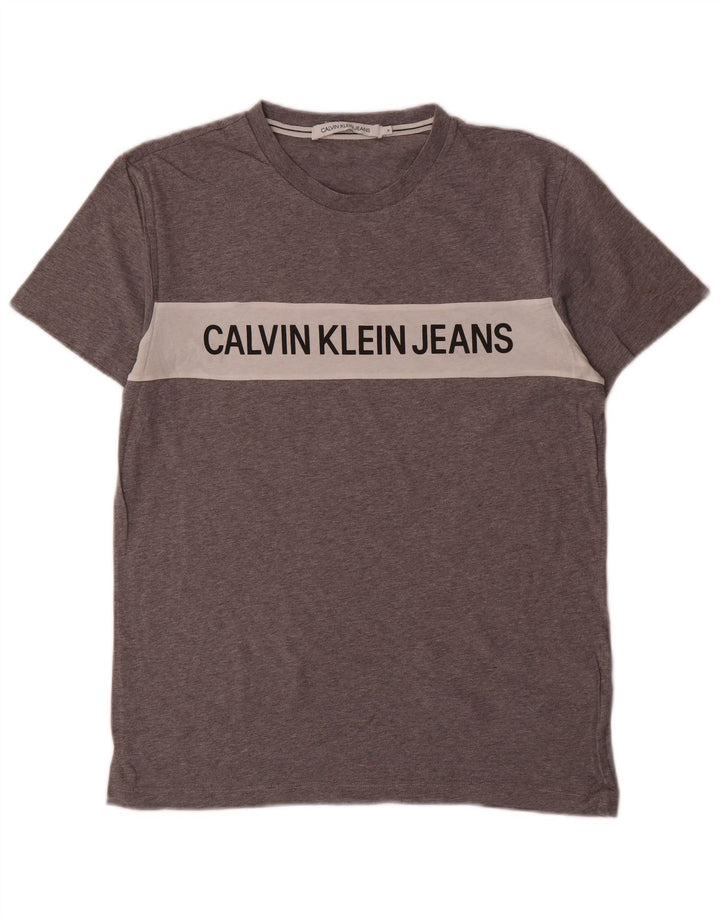 Calvin Klein Jeans T-Shirt Graphique Homme Gris Moyen Colourblock