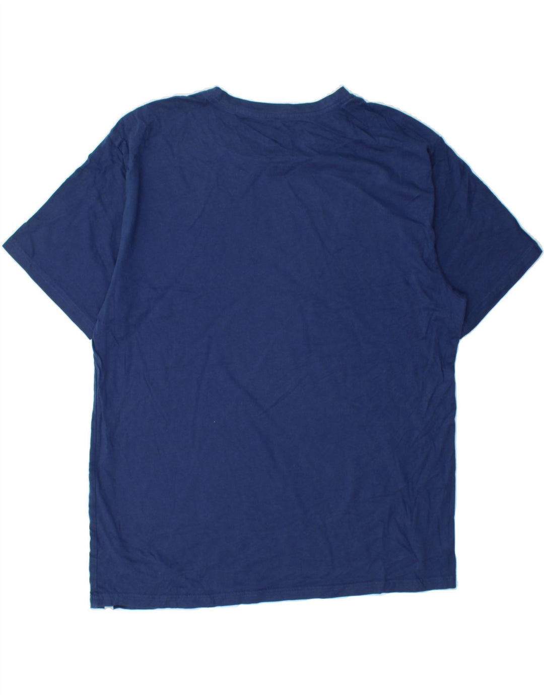 HURLEY Mens Graphic T-Shirt Top Large Blue Cotton Vintage Hurley and Second-Hand Hurley from Messina Hembry 