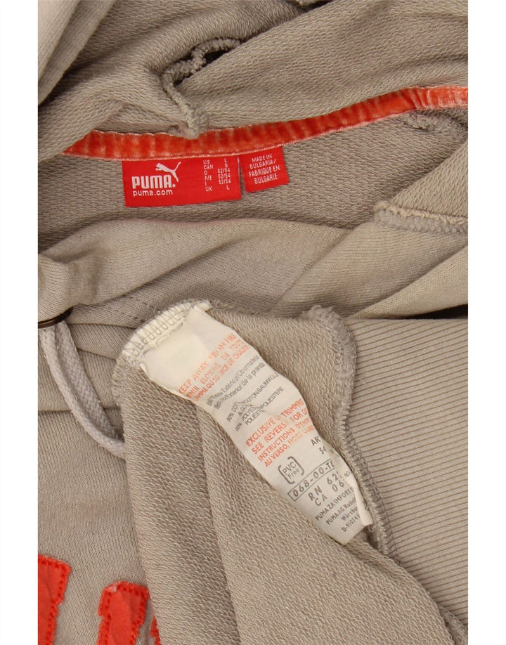 PUMA Pull à capuche graphique pour hommes, grand, gris, coton