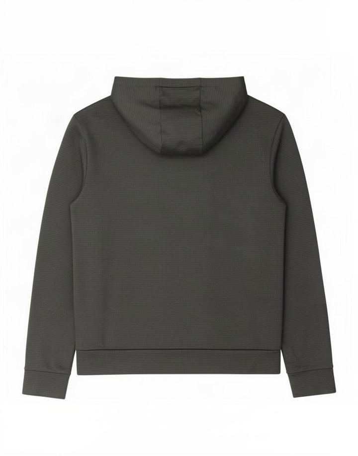 The North Face Pull à capuche graphique pour homme Large Gris Polyester