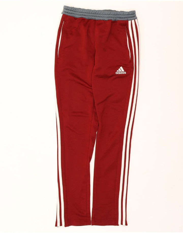 ADIDAS Pantalon de survêtement Climalite pour homme Small Bordeaux Colourblock