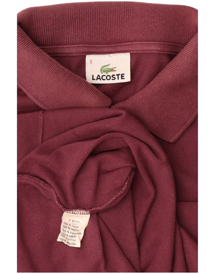 LACOSTE Polo Homme Taille 5 Grand Coton Marron