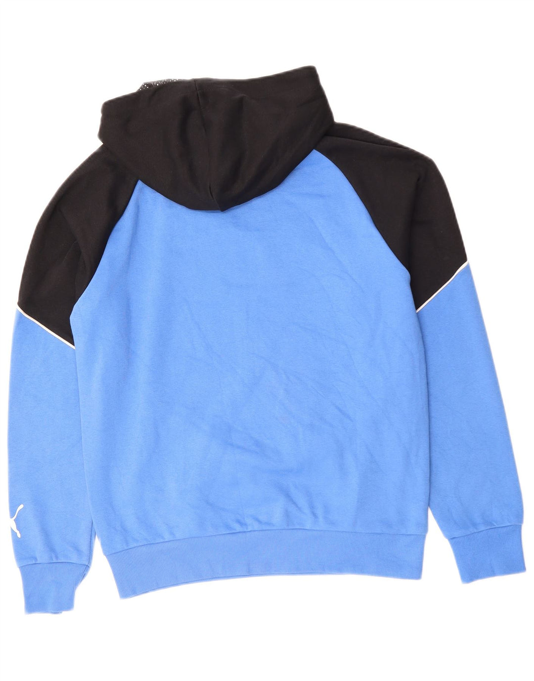PUMA Sweat à Capuche Graphique Homme Petit Bleu Colorblock