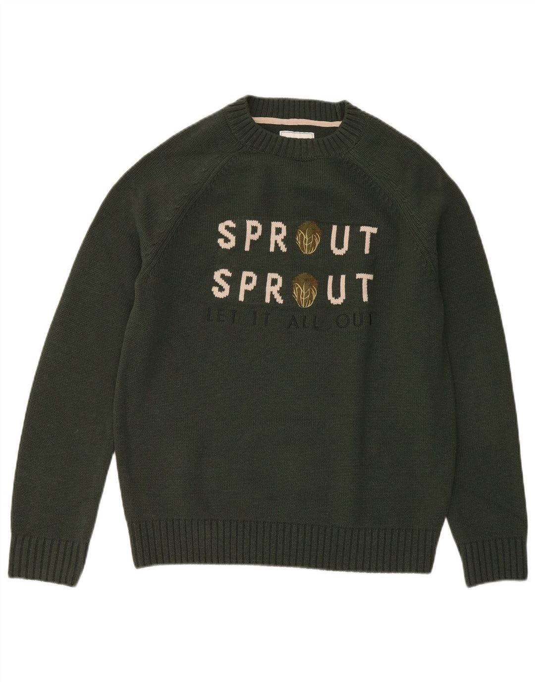 Joules Pull Graphique Ras du Cou Homme Vert Moyen Acrylique