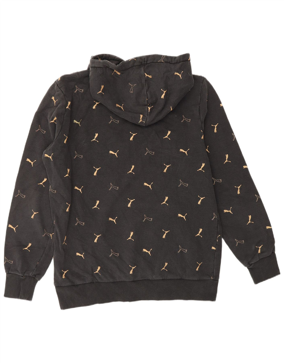 PUMA Sweat à Capuche Graphique Homme Noir Moyen Coton